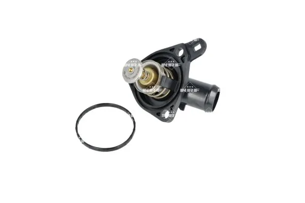 Thermostat, coolant