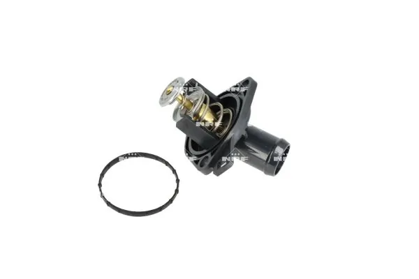 Thermostat, coolant