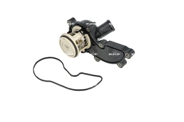 Thermostat, coolant
