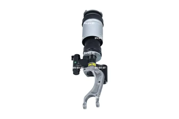 Air Suspension Strut