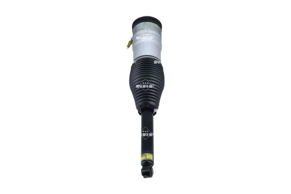 Air Suspension Strut