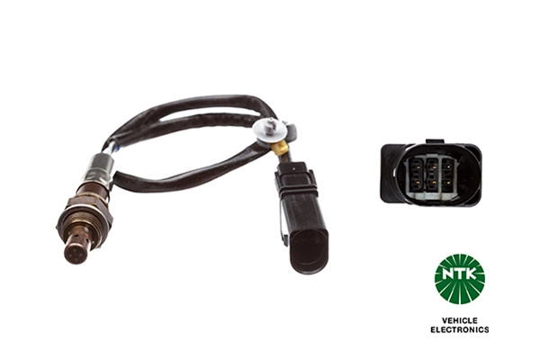 Oxygen Sensor