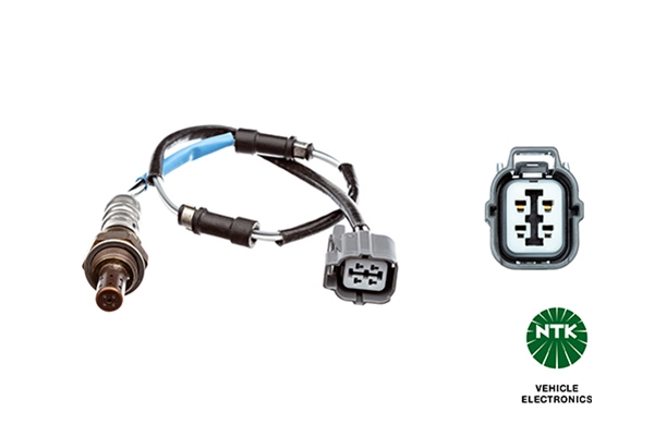Oxygen Sensor