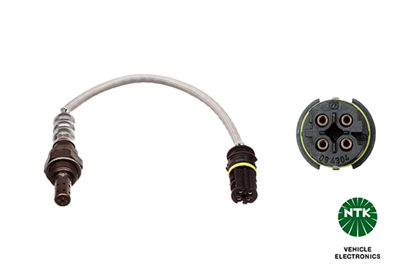 Oxygen Sensor