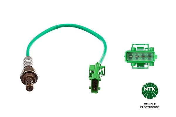 Oxygen Sensor