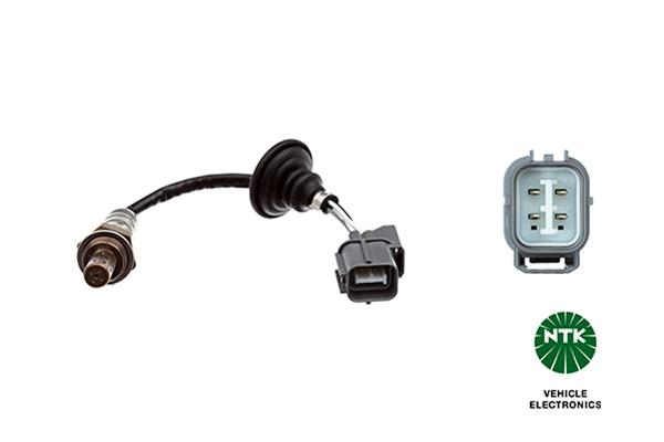 Oxygen Sensor