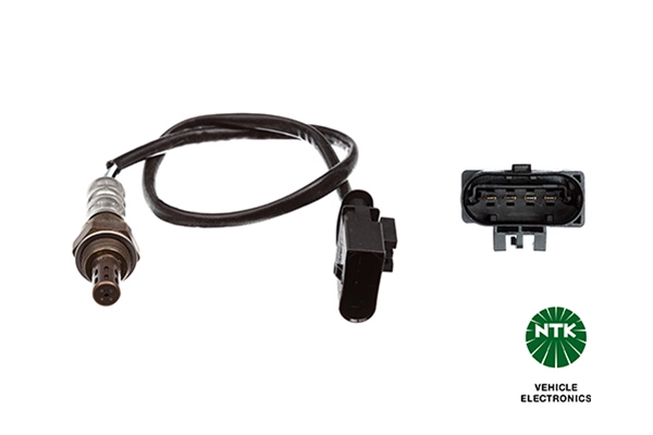 Oxygen Sensor