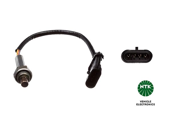 Oxygen Sensor
