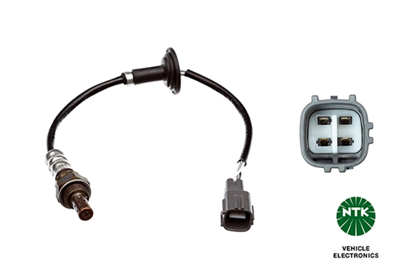 Oxygen Sensor