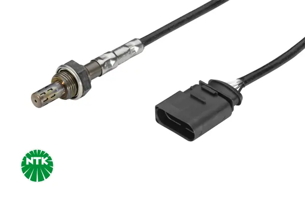 Oxygen Sensor