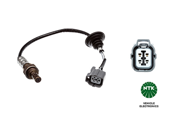 Oxygen Sensor