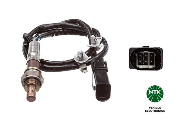 Oxygen Sensor