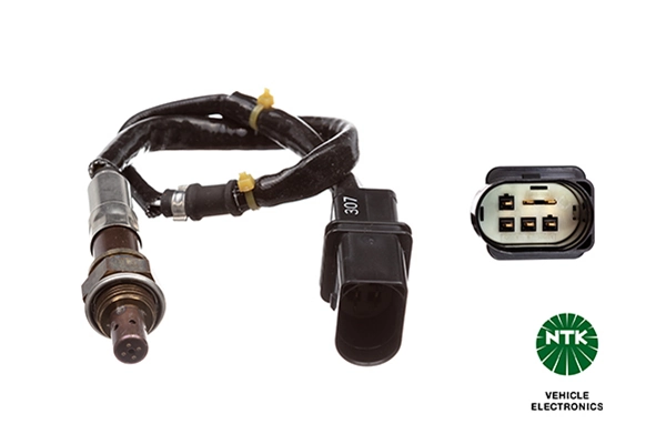 Oxygen Sensor