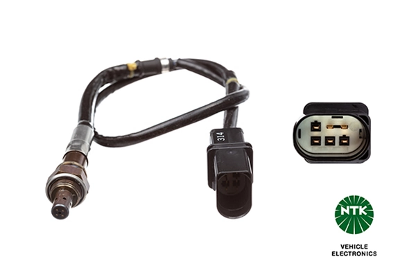 Oxygen Sensor