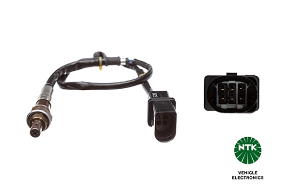 Oxygen Sensor