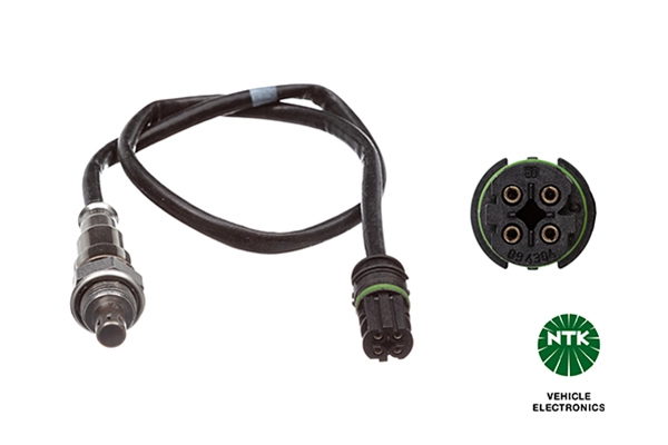 Oxygen Sensor