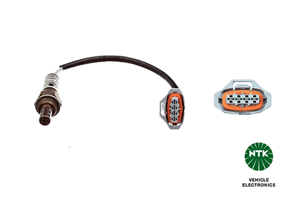 Oxygen Sensor