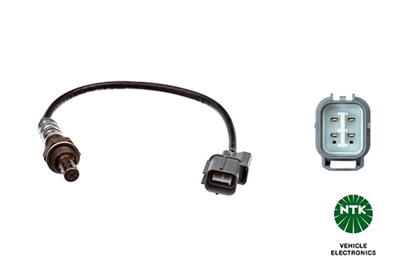 Oxygen Sensor
