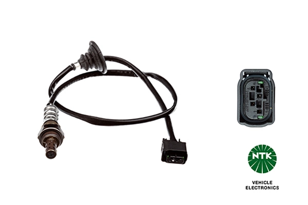 Oxygen Sensor