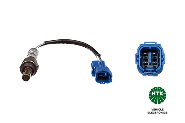 Oxygen Sensor