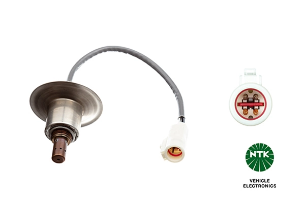 Oxygen Sensor