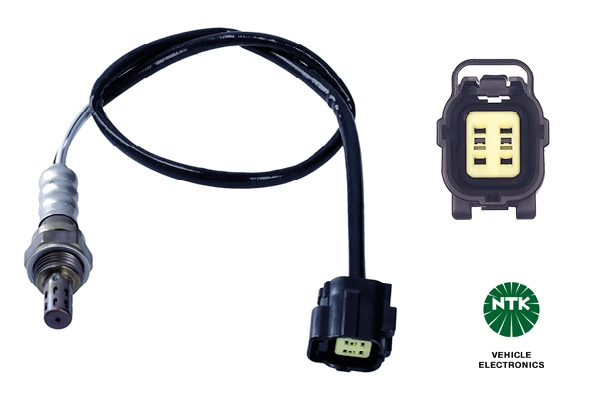 Oxygen Sensor