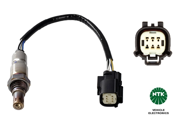 Oxygen Sensor