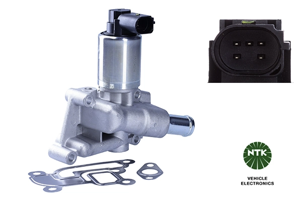 EGR Valve