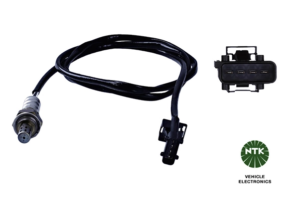 Oxygen Sensor