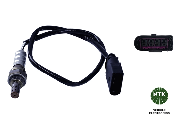 Oxygen Sensor