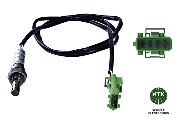 Oxygen Sensor
