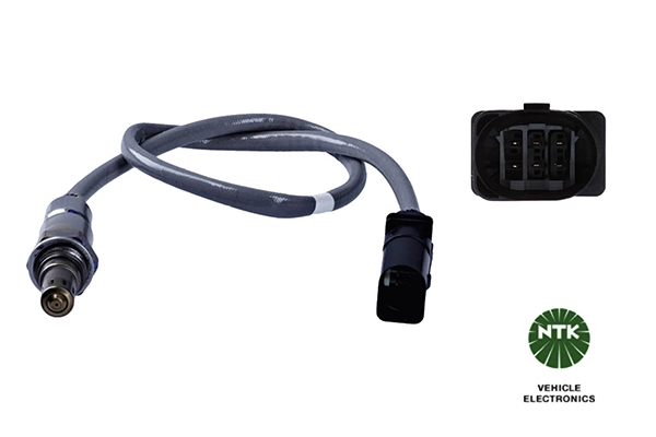 Oxygen Sensor