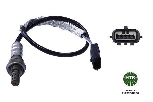 Oxygen Sensor