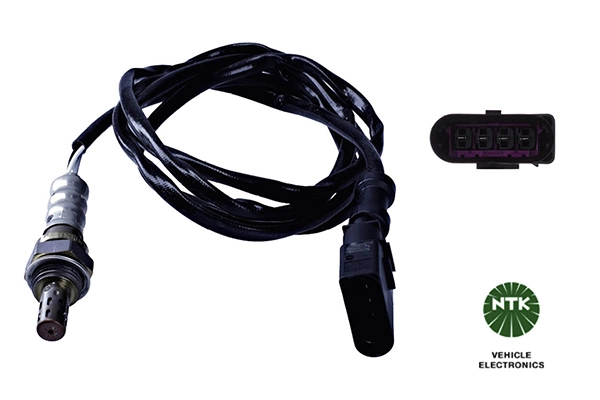 Oxygen Sensor