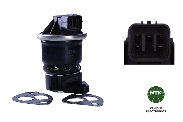EGR Valve
