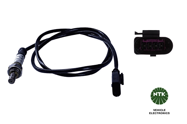 Oxygen Sensor