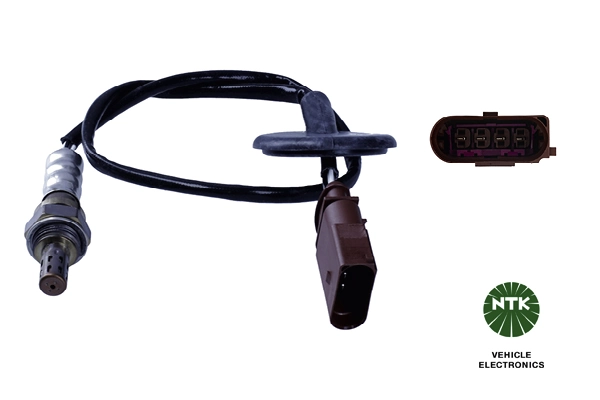 Oxygen Sensor