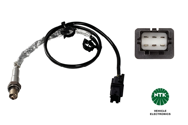 Oxygen Sensor