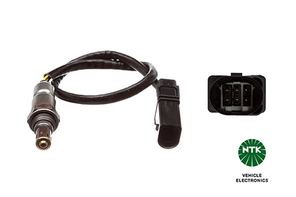 Oxygen Sensor