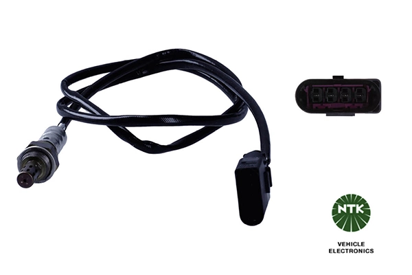 Oxygen Sensor