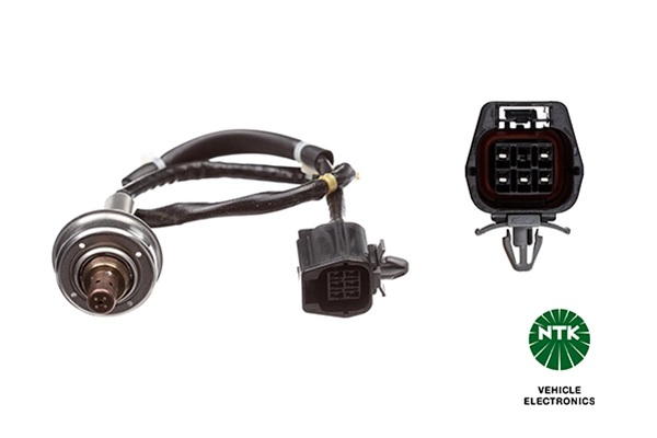 Oxygen Sensor