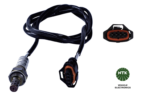 Oxygen Sensor