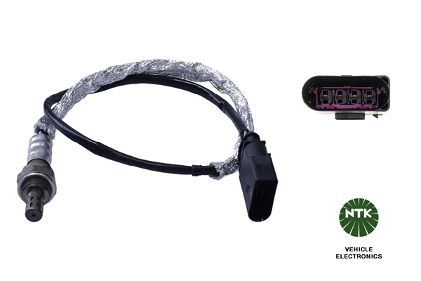 Oxygen Sensor