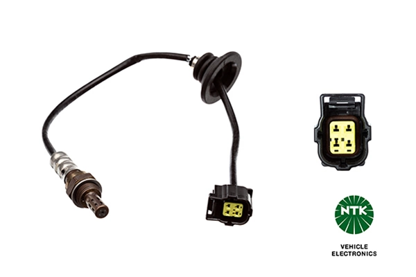 Oxygen Sensor
