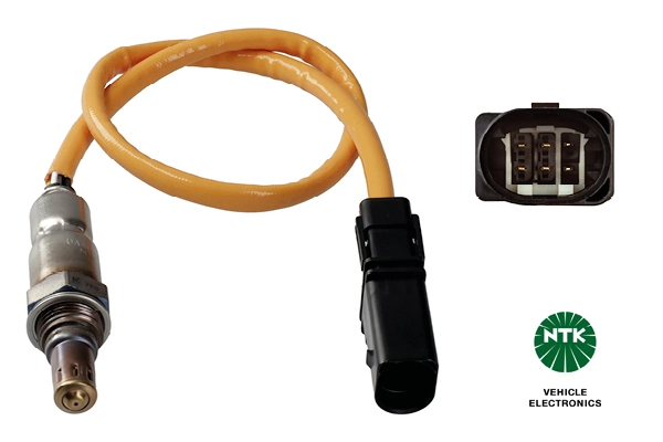 Oxygen Sensor