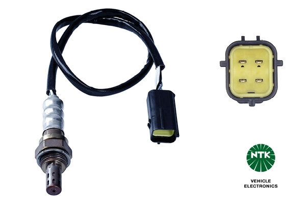 Oxygen Sensor