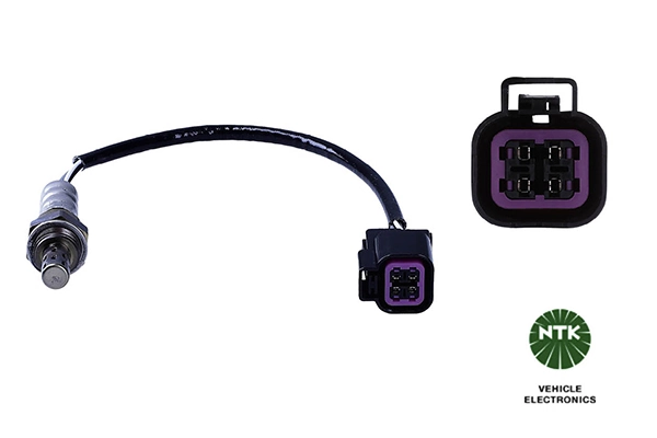 Oxygen Sensor
