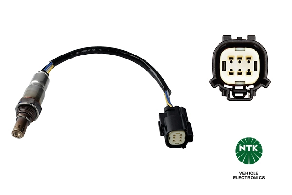 Oxygen Sensor