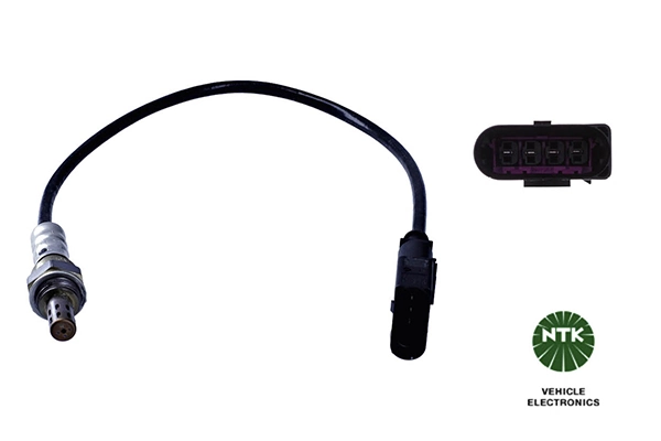 Oxygen Sensor