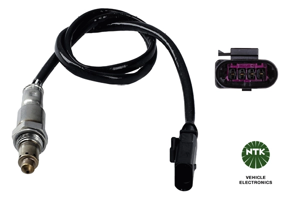 Oxygen Sensor